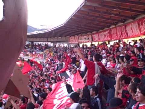 "DISTURBIO ROJO BOGOTA, FEB 2009 (1/6)" Barra: Disturbio Rojo Bogotá &bull; Club: América de Cáli