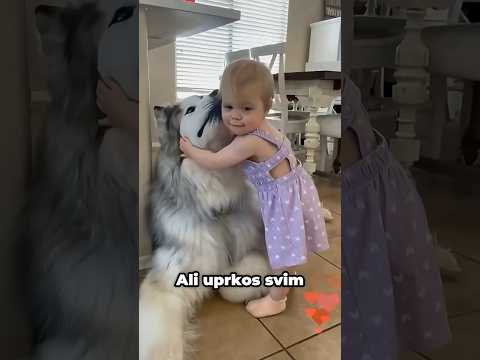 Ljubav Između Psa I Bebe 🐶❤️