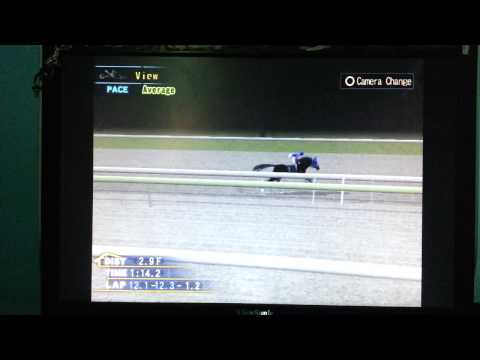 SS Breeder's Cup Distaff 2013