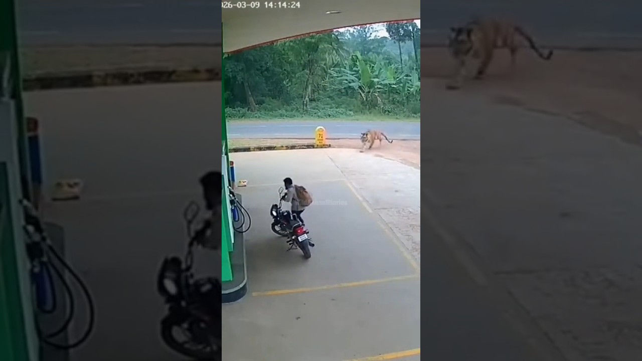 They Risked Their Lives to Save a Man