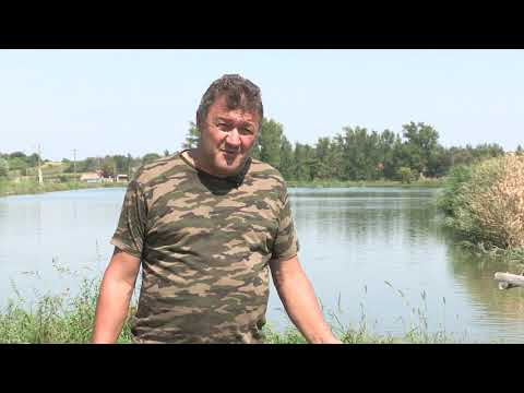 Imamo rešenje ep. 70 28.09.2020. Šaran, Bačka, porodica Đurković, ribarstvo