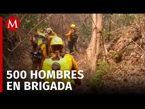 Tras 11 días, continúa incendio en la Selva de las Chimalapas, Oaxaca