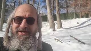 שיעורים קצרים הכנה לאורות ימי הפורים תשפ"ה – ביידיש – 7 – על פי ליקו"ה השכמת הבוקר א' יד' ליקו"מ רפב (הרב מוטה פראנק) - התמונה מוצגת ישירות מתוך אתר האינטרנט יוטיוב. זכויות היוצרים בתמונה שייכות ליוצרה. קישור קרדיט למקור התוכן נמצא בתוך דף הסרטון