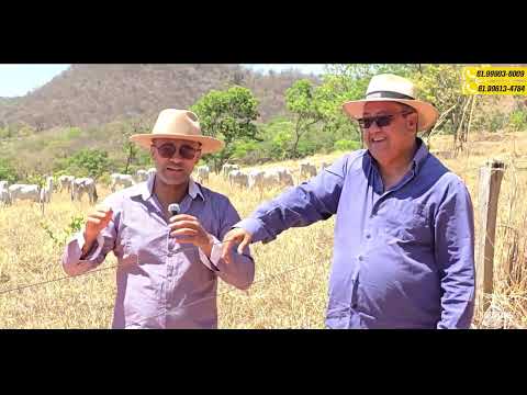 Fazenda à Venda em Cabeceiras - GO — 115 hectares, duas de 30 e uma de 55ha. R$30.000,00 por ha
