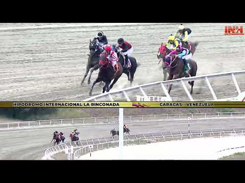 C106 | Grandiossus | La Rinconada International Racetrack | Meeting 11 | 2025