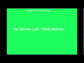 Irish Drinking Songs- The Blarney Lads - Molly ...