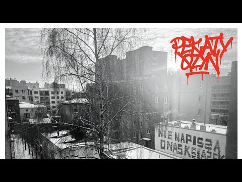 Pękaty x Qzyn - 83 premium