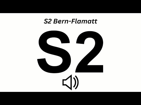 BLS Durchsagen in der S2 Bern - Flamatt