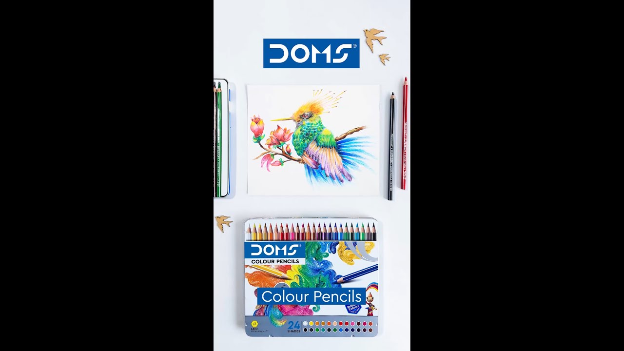DOMS | Colour Pencils | Give life to your imaginations