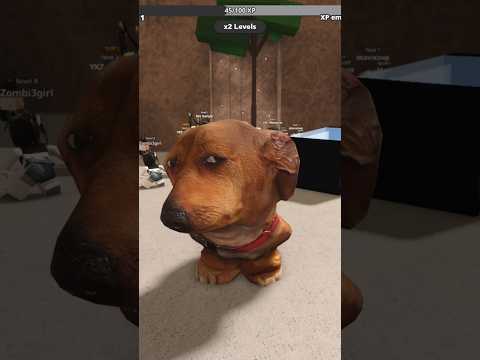 AÍ CACHORRO 🐶 #roblox