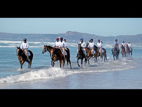 2020 Sun Met Horse Spa Day