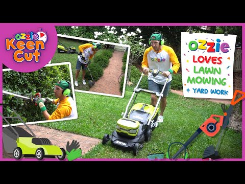 Lawn Mower Video for Toddlers | Learn About Yard Work like Blippi for Kids