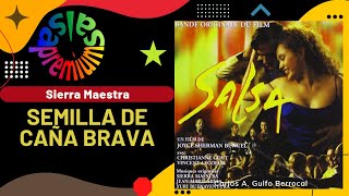 🔥SEMILLA DE CAÑA BRAVA por SIERRA MAESTRA - Salsa Premium