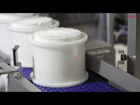 Pressed cheese machinery