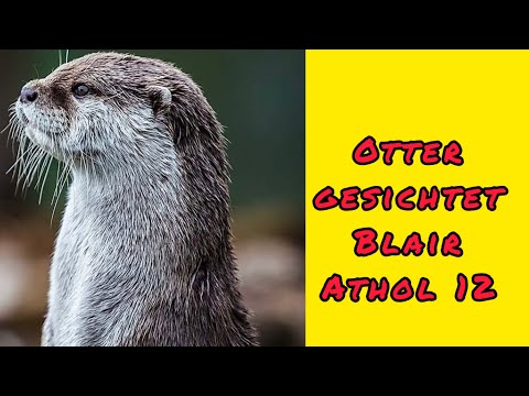 Blair Athol 12 Jahre Flora & Fauna