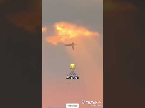 Miracle : un Ange sortie du ciel en 2023