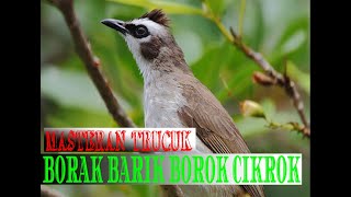 Download lagu MASTERAN TRUCUK BORAK BARIK BOROK CIKROK#TRUCUKBBC#TRUCUKROPEL mp3