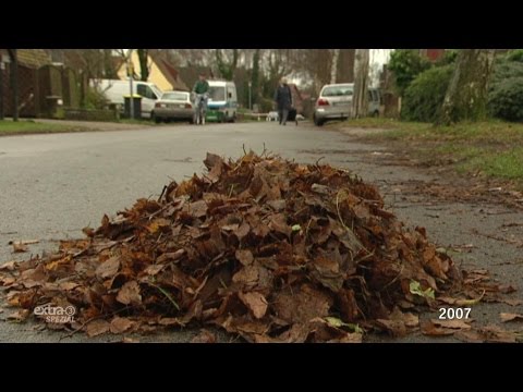 Realer Irrsinn: Grabenlaub und Straßenlaub | extra 3 | NDR