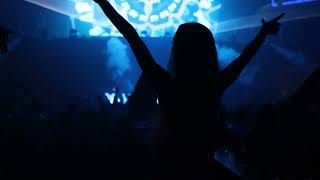 Steve Aoki at Hakkasan Nightclub