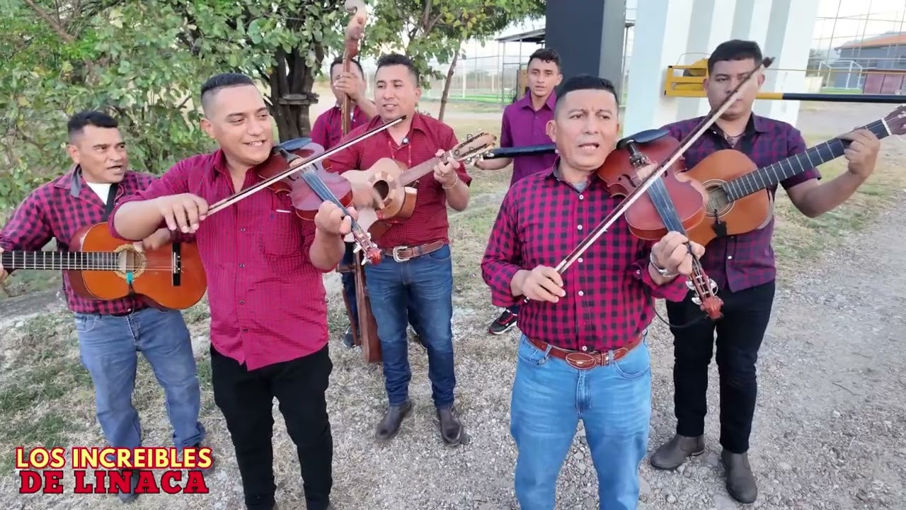 Los Increíbles de Linaca - La Vecinita