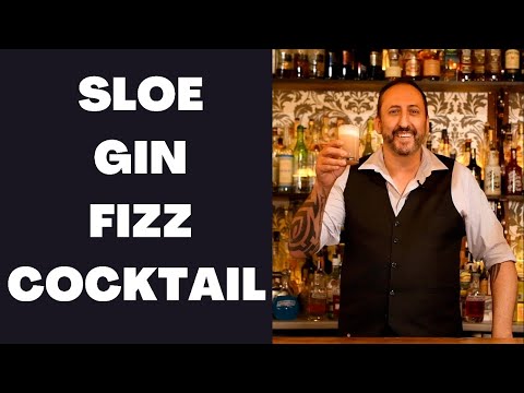 Sloe Gin Fizz Cocktail/ Let's Talk Drinks