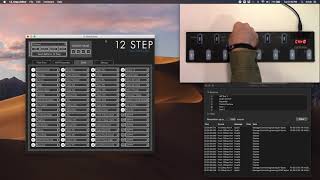 Video thumbnail for Keith McMillen 12 Step Presets and Setlist Walkthrough - Mac OS by Muse Kinetics