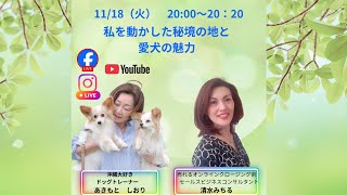 私を動かした秘境の地と、愛犬の魅力