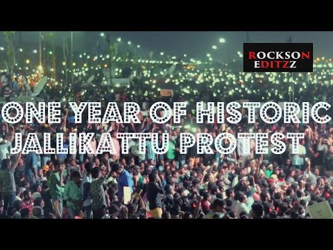 How Jallikattu Protest Started?/We_want_Jallikattu___Marina_Beach,_Chennai___20.1.2017