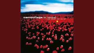 Pedestrian&#39;s Adventures