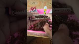 Download lagu CARA MELINTING RAPI DAN BAGUS MENGGUNAKAN HANDROLL LADY HORNET MILD mp3