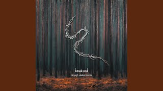 Through Shaded Woods Music Video