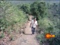 Kokilamma Movie Vidio Song Palavinchana Na Vkt