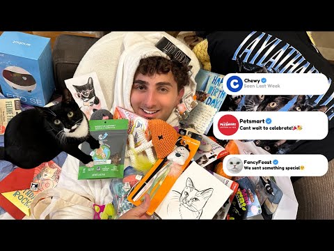 We DM'ed 100 cat brands for Laylas birthday...