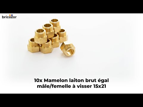 10 X Mamelon laiton égal M/F à visser - différents filetages BRICOZOR