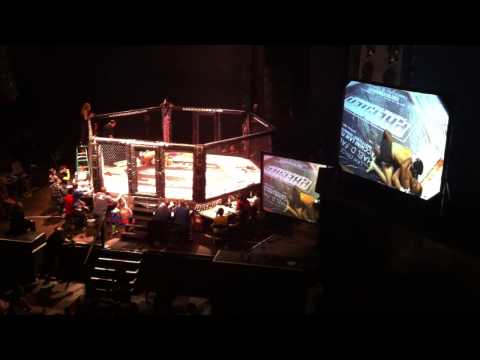 MMA - Fight of Andres Pedraza vs. Ray Joh