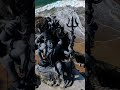 Sivan Whatsapp Status In Tamil Siva Sivaya Potriye Song Whatsapp Status