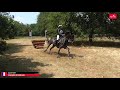 Cadarn D Héolan Championnat De France 2023 As Poney 1 Lamotte Beuvron
