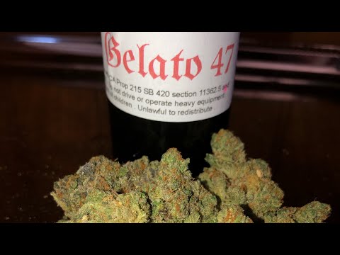 Gelato 47 Strain Allbud