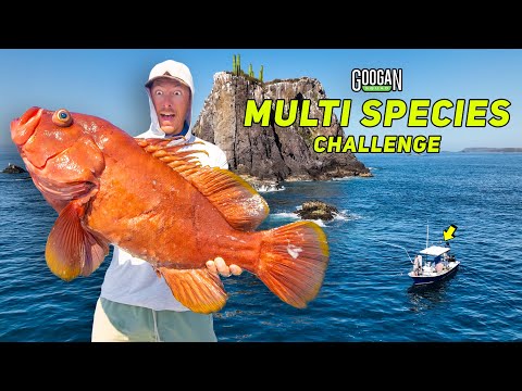 EXOTIC Mega MULTI SPECIES Fishing CHALLENGE (MOST SPECIES WINS)