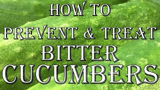 How to Prevent & Treat Bitter Cucumbers 🥒 Growing Tips & Grandma