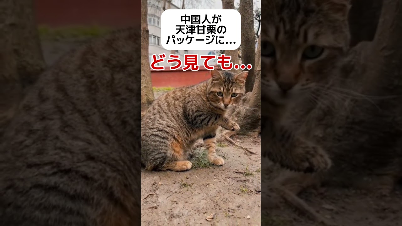 【え？】中国の天津甘栗のパッケージが物議 #shorts