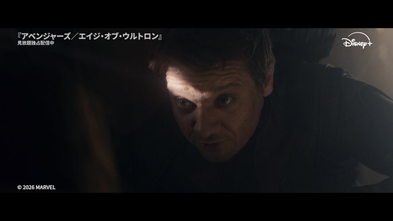 アベンジャーズ エイジ・オブ・ウルトロン