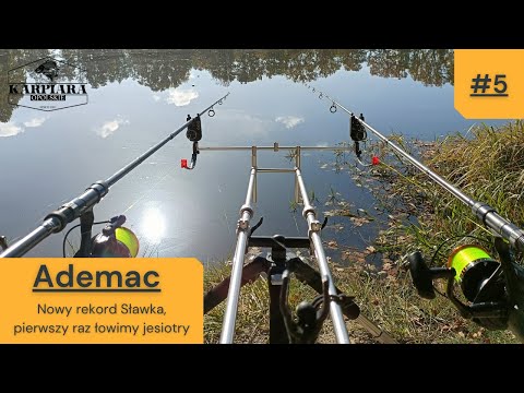 #5 Ademac - Nowy rekord Sławka, pierwszy raz łowimy jesiotry