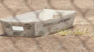 Feds: Houston man recruited mail carriers in nearly $24M theft scheme