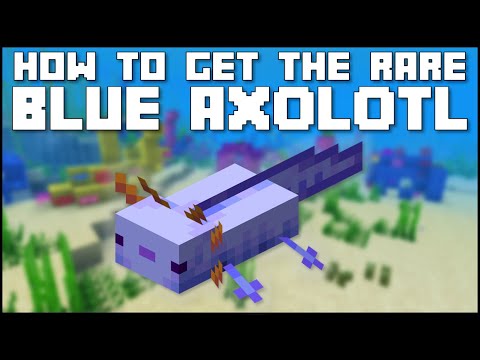 Minecraft - How To Get The Rare Blue Axolotl...