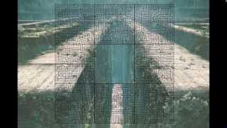 THE MAZE RUNNER- When The Darkness Comes (Shelby Merry)