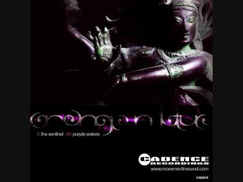 Orange n Blue - The Sentinel