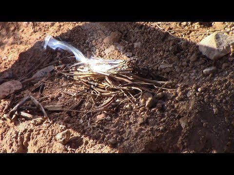 Solar Fire-Starting — Fast, Free, Forever Fires with Fresnel