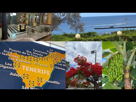কিছু দিনের জন্য ছুটি কাটাতে আসলাম / Holiday in Tenerife
