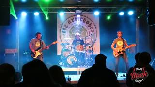 THE ARTICHOKES - Birth, School, Work, Death (The Godfathers Cover)